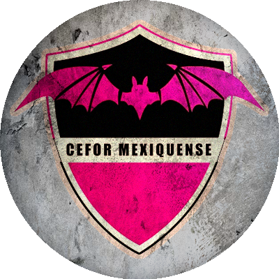 Logo Cefor Mexiquense